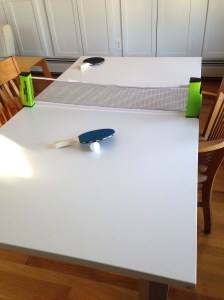Portable Ping Pong with homemadecity.com